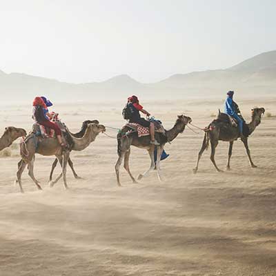 camel ride