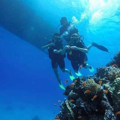 diving Red Sea