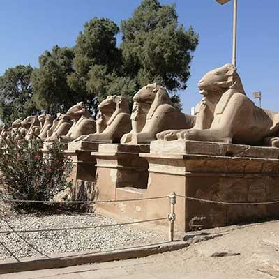 sphinx avenu luxor