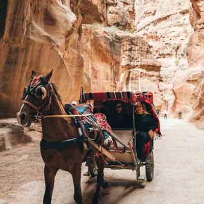 Petra Jordan