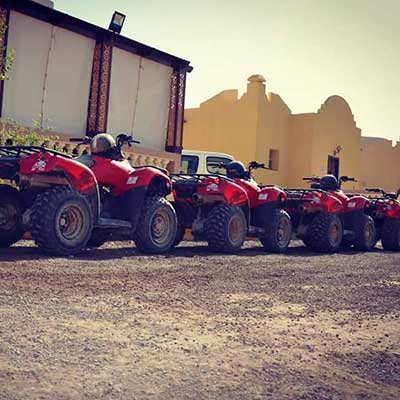 quad safari