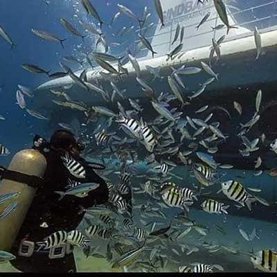 hurghada submarine