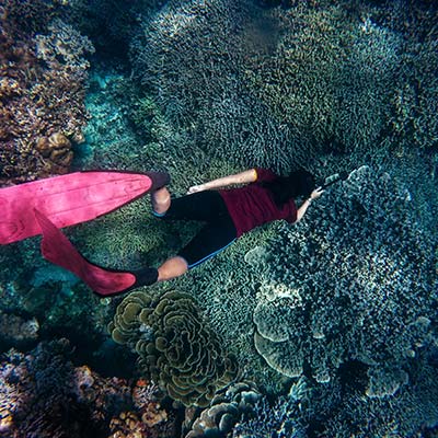 coral-garden